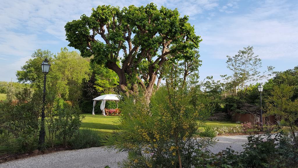 B&B Casa Pagliette Cavriana 外观 照片